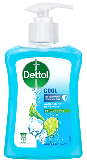 Dettol Liquid Hand Wash Cool 250ml