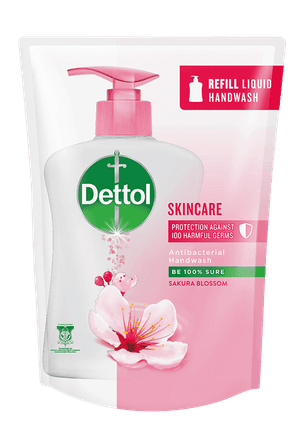 Mandian Badan Dettol Skin Care 450g